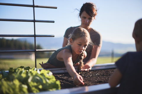 Wir setzen auf KI: Kreislauf Intelligenz