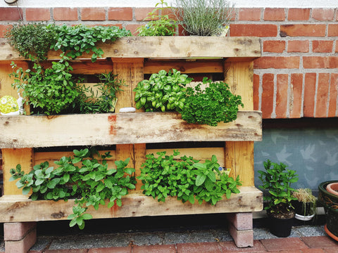 Hochbeete aus Paletten – kreativ, günstig und individuell