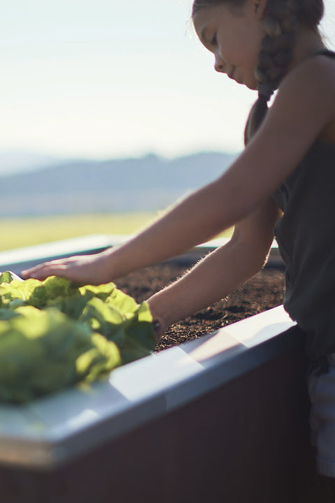 Hochbeete und Pflanzentröge