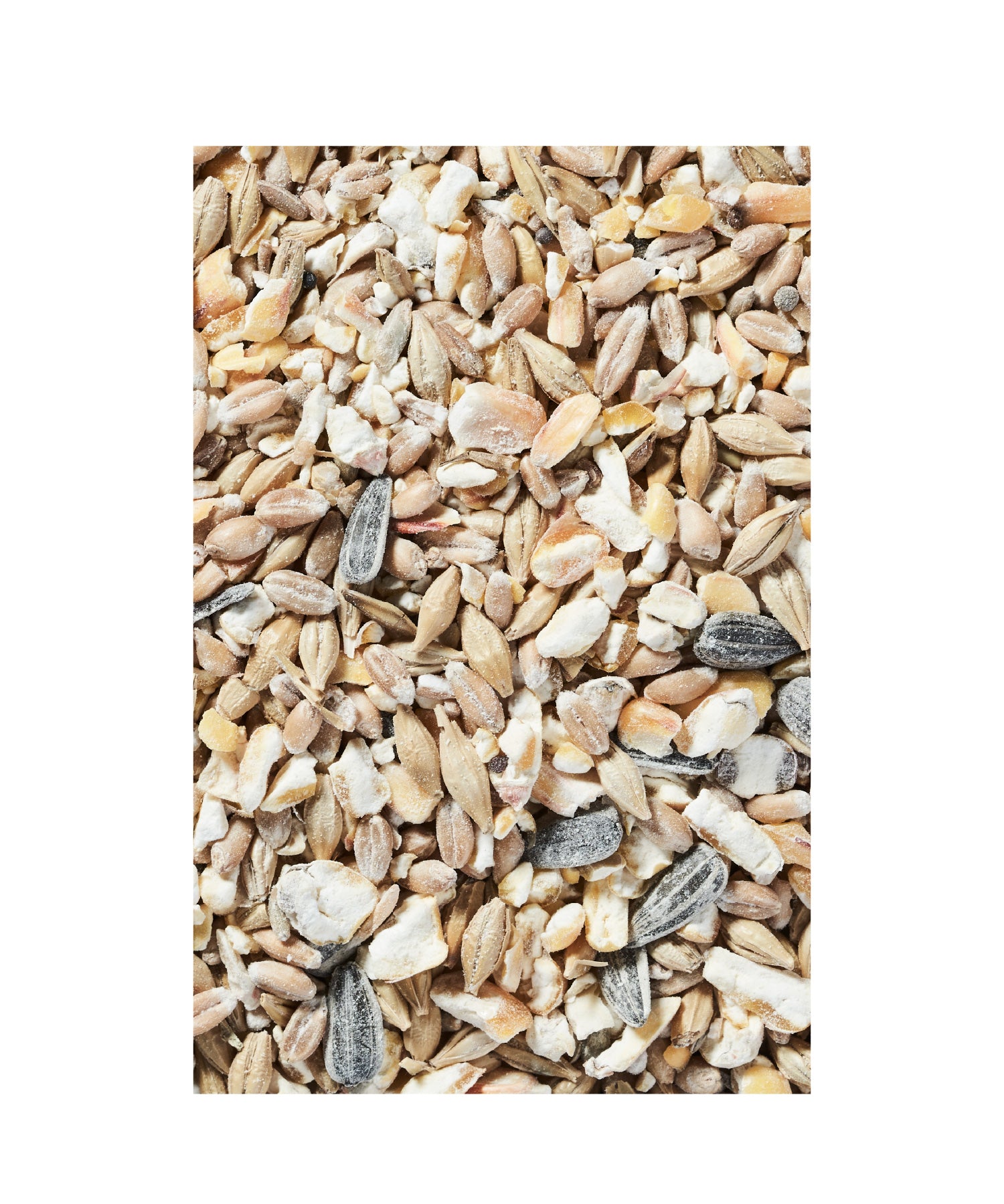 Körnermix Premium - biotauglich