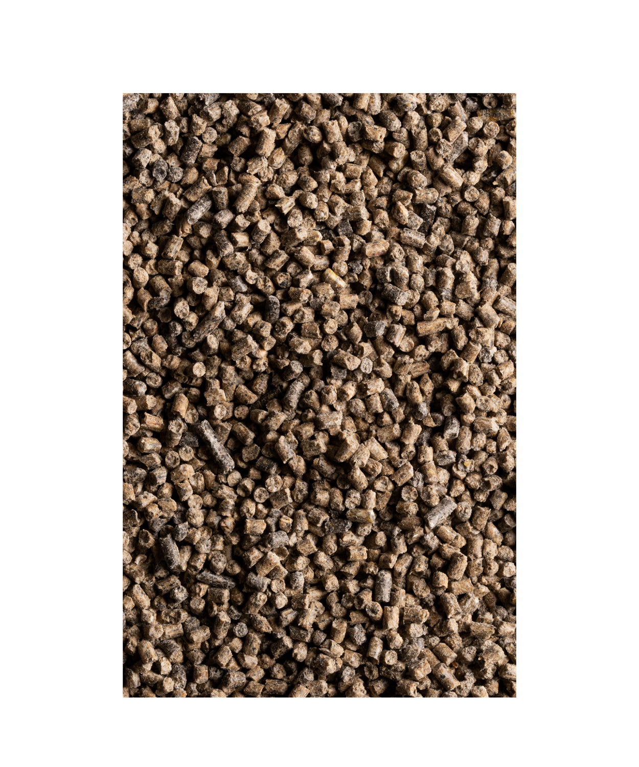 Bio Legehennenkonzentrat: Futter für Hühner online bestellen – Mühlholz Bio Legehennenkonzentrat: Futter für Hühner online bestellen – Mühlholz