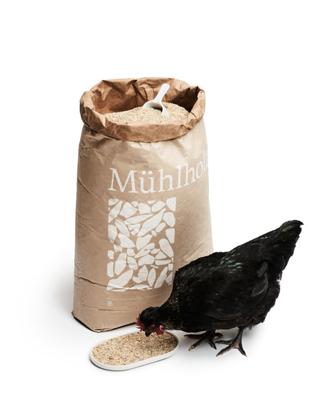 Legehennen-Futter - biotauglich